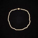 520538 Pearl necklace